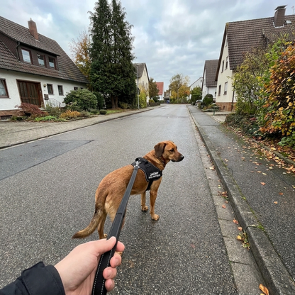 PawGuard™