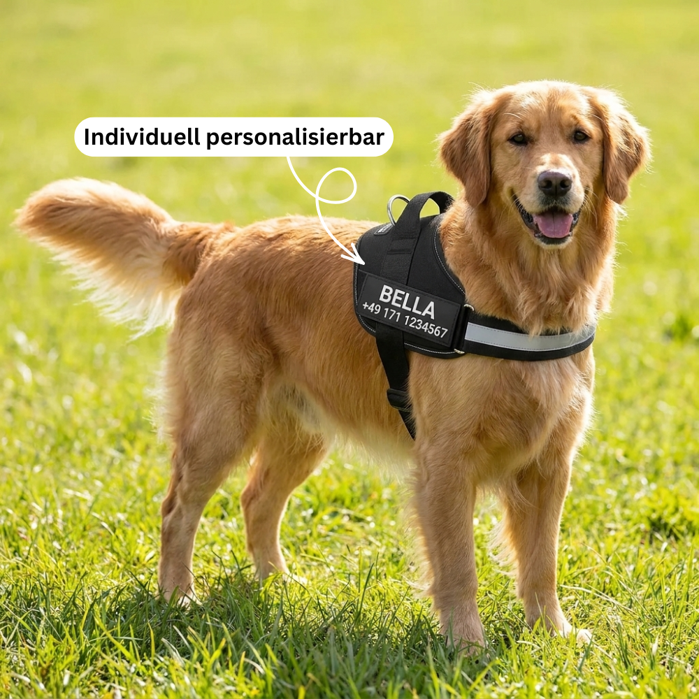 PawGuard™